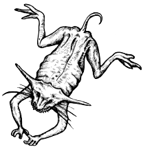 TOAD